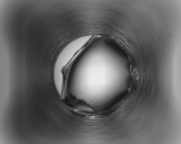 X0000095930564200802011023