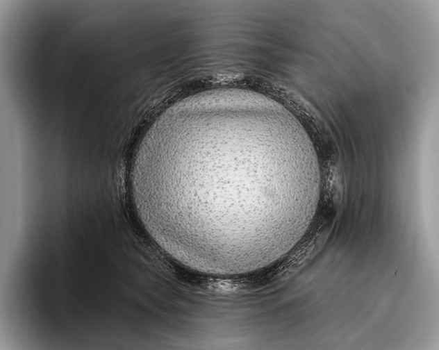 X0000095930565200802011023