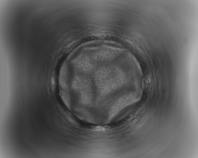X0000095930566200802011023