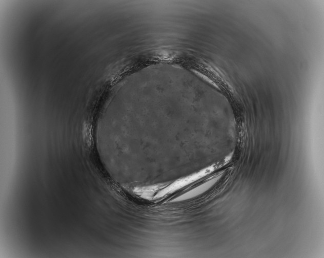 X0000095930568200802011023