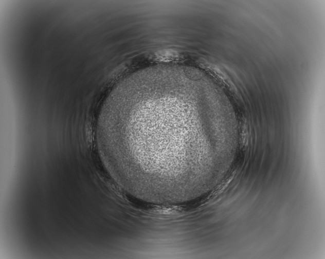 X0000095930569200802011023