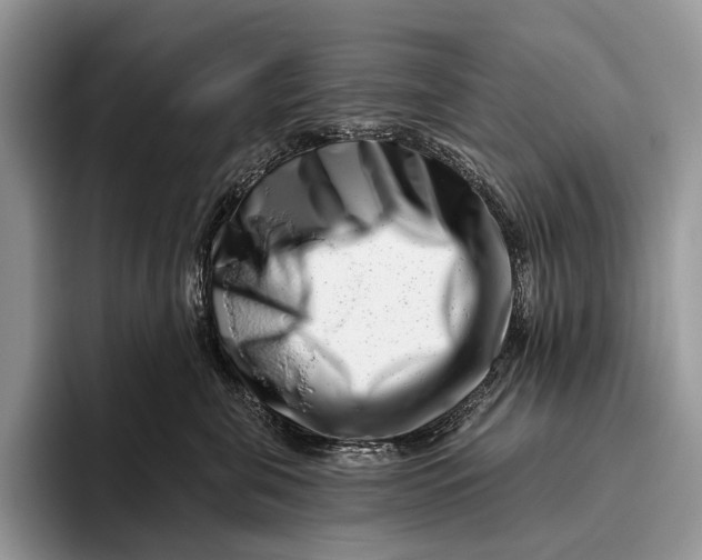 X0000095930571200802011023