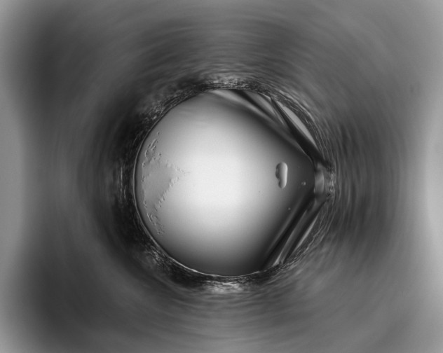 X0000095930572200802011023