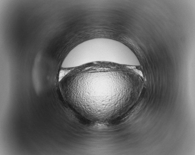 X0000095930573200802011023