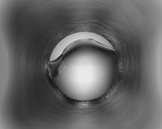 X0000095930574200802011023