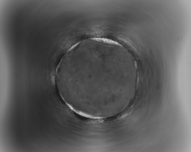 X0000095930576200802011023