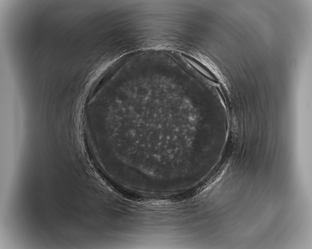 X0000095930577200802011023