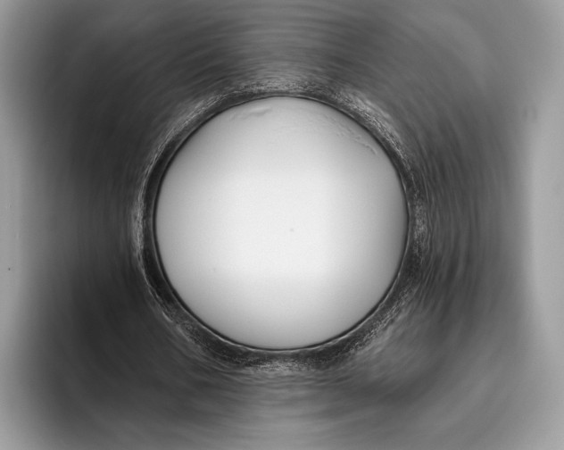 X0000095930578200802011023