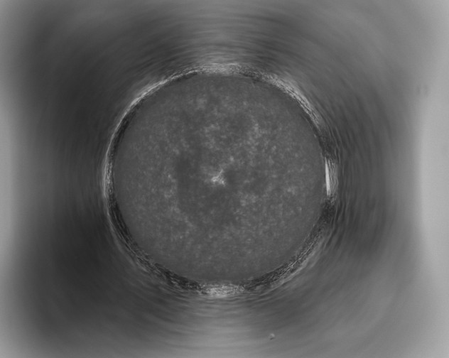 X0000095930579200802011023