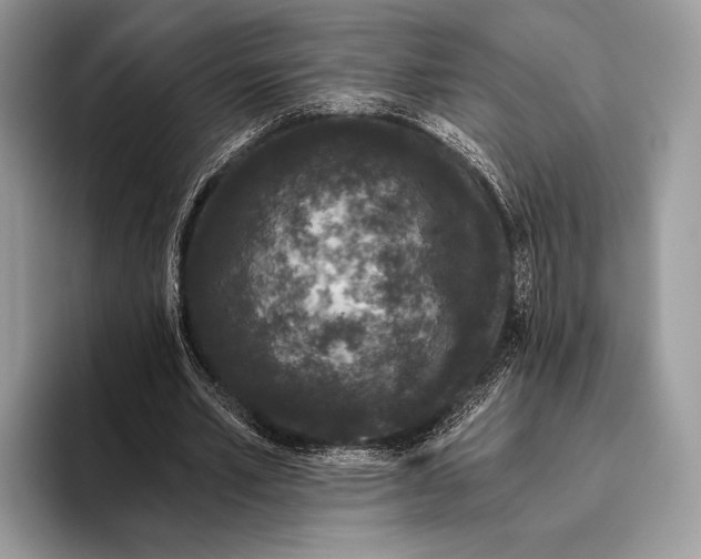 X0000095930581200802011023