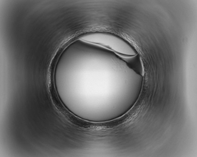 X0000095930582200802011023
