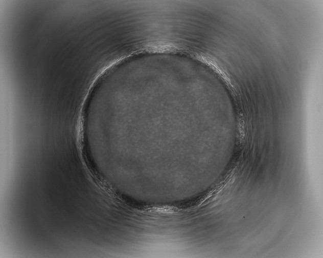 X0000095930583200802011023