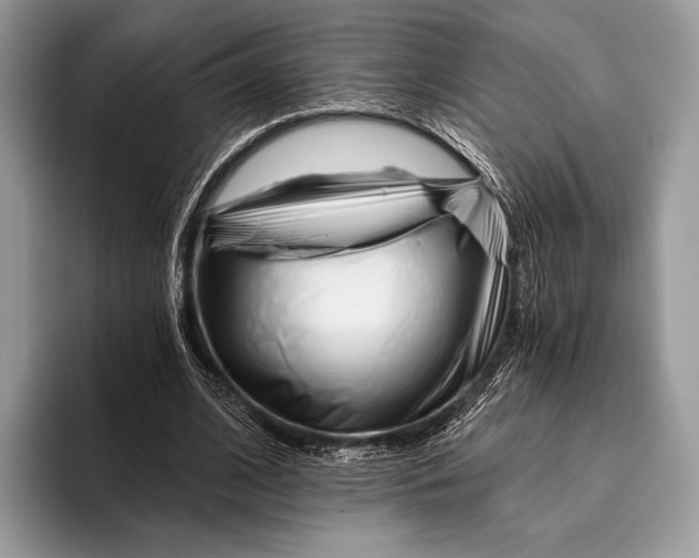 X0000095930584200802011023