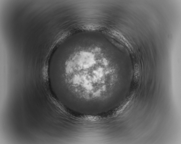 X0000095930585200802011023