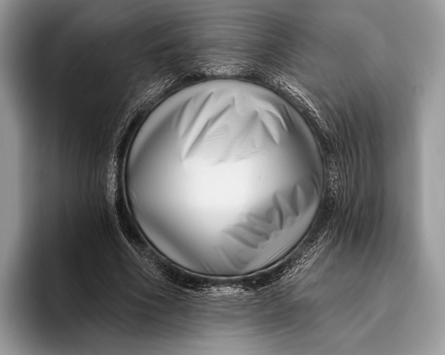 X0000095930586200802011023