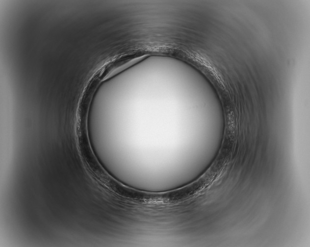 X0000095930587200802011023