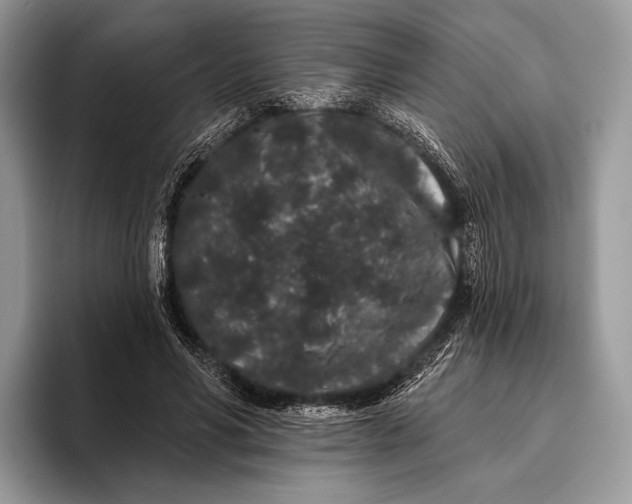 X0000095930590200802011023