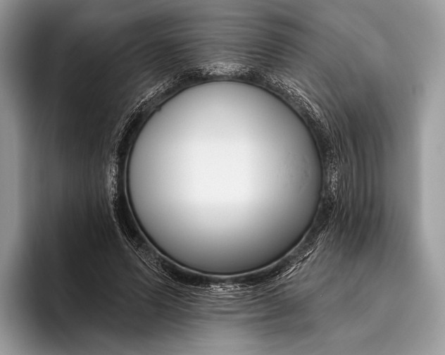 X0000095930591200802011023