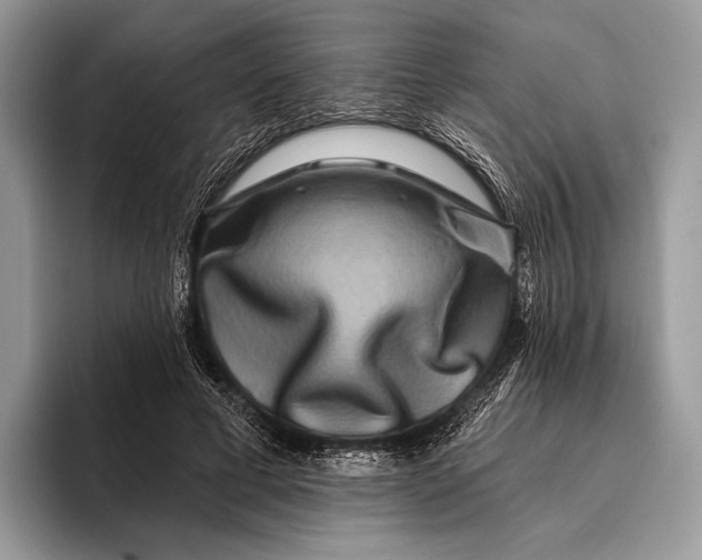 X0000095930593200802011023
