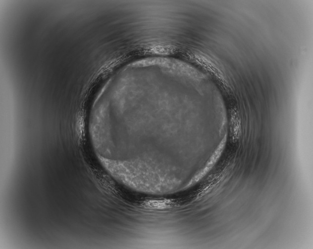 X0000095930595200802011023