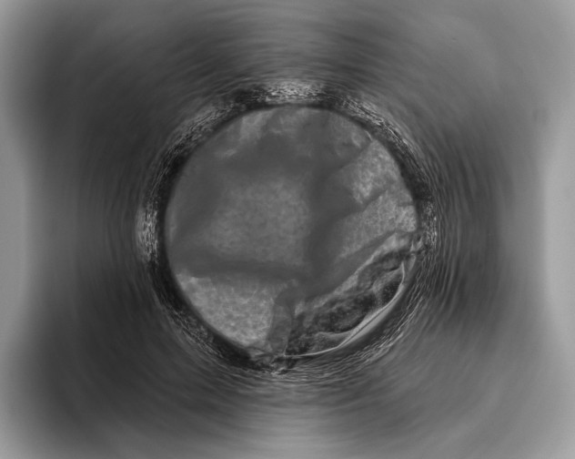 X0000095930599200802011022