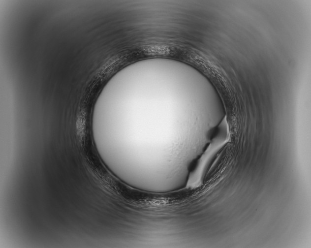 X0000095930600200802011022