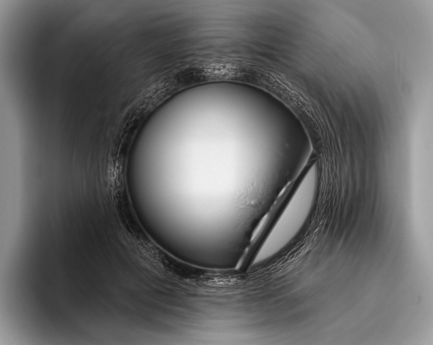 X0000095930601200802011022