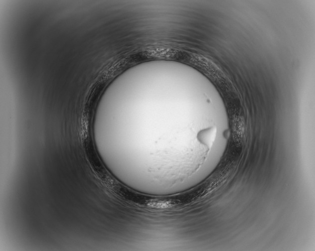 X0000095930602200802011022