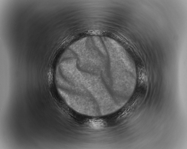 X0000095930603200802011022