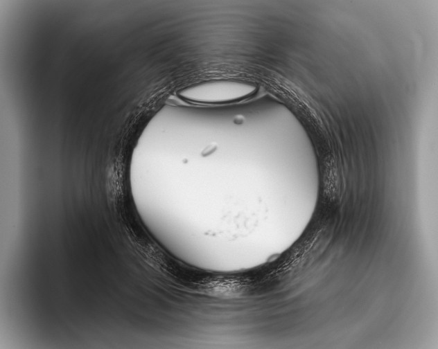 X0000095930604200802011022