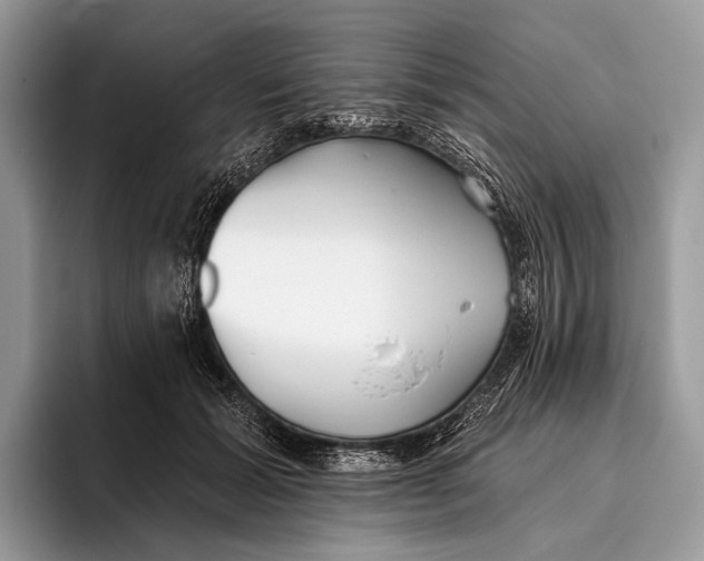 X0000095930605200802011022