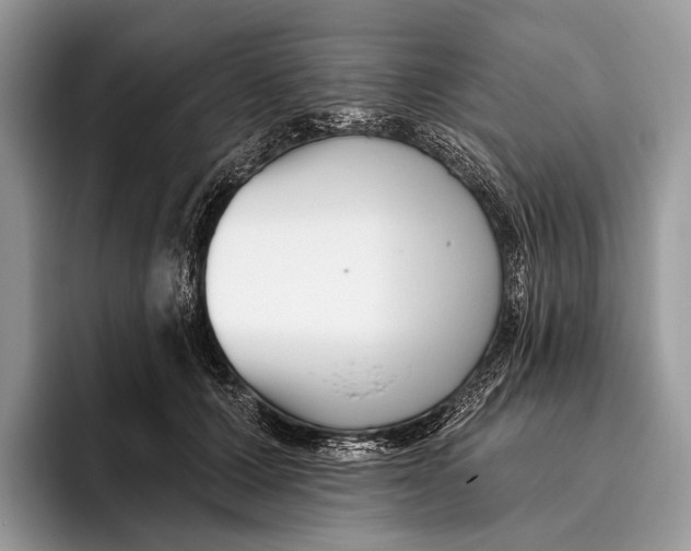 X0000095930607200802011022