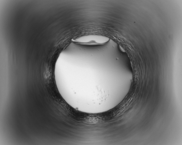 X0000095930608200802011022