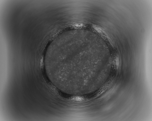 X0000095930610200802011022