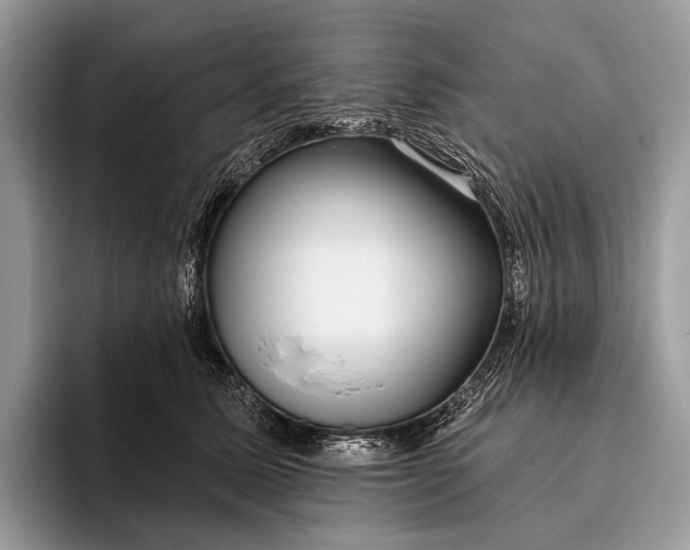 X0000095930611200802011022