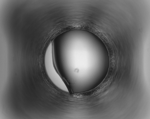 X0000095930612200802011022
