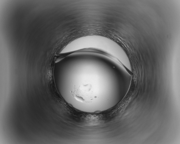 X0000095930613200802011022