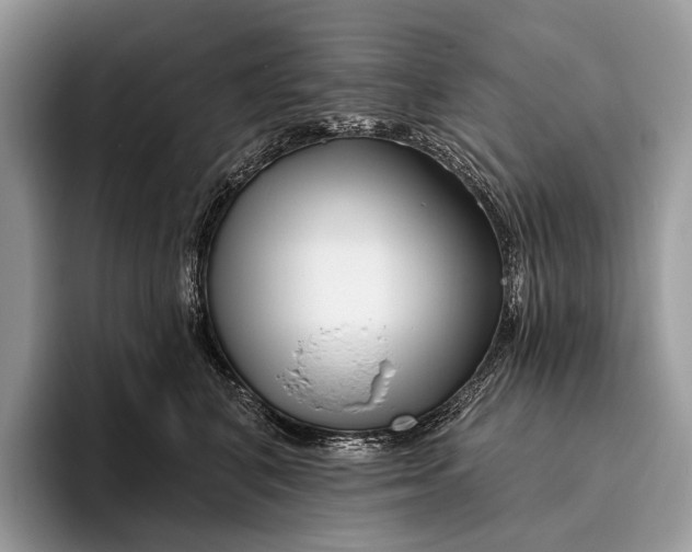 X0000095930616200802011022