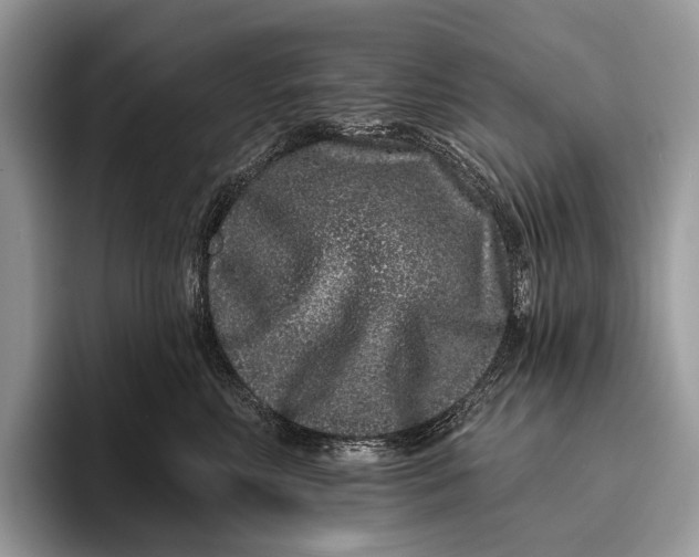 X0000095930618200802011022