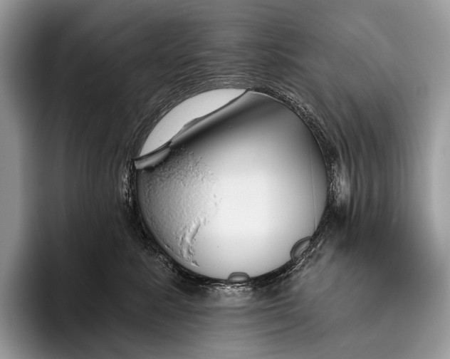 X0000095930619200802011022