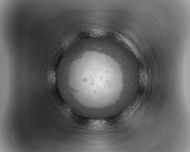 X0000095930621200802011022
