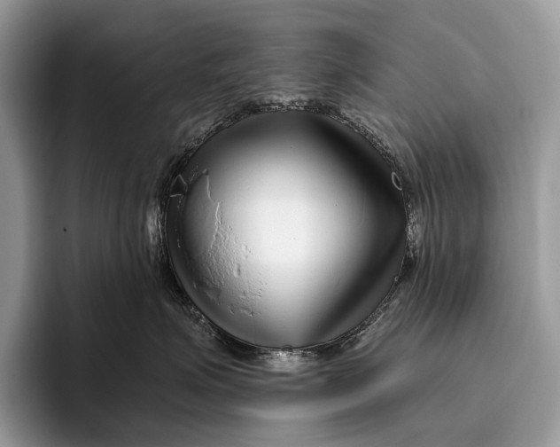 X0000095930623200802011022