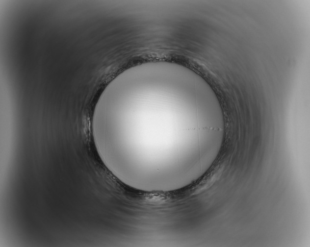 X0000095930624200802011022