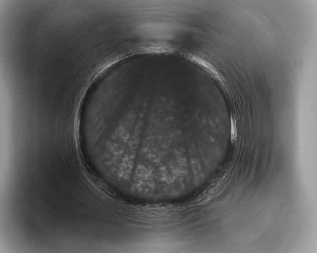 X0000095930627200802011022