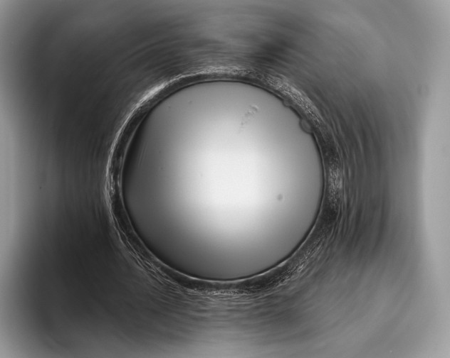 X0000095930628200802011022