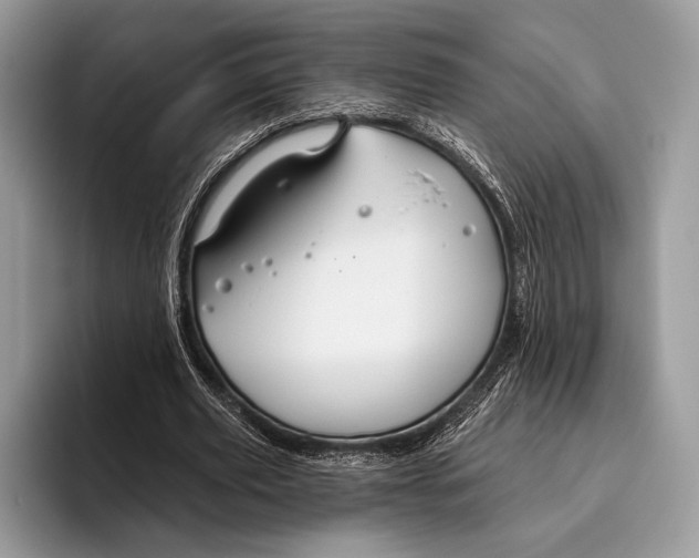 X0000095930629200802011022