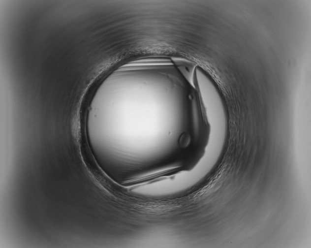 X0000095930630200802011022
