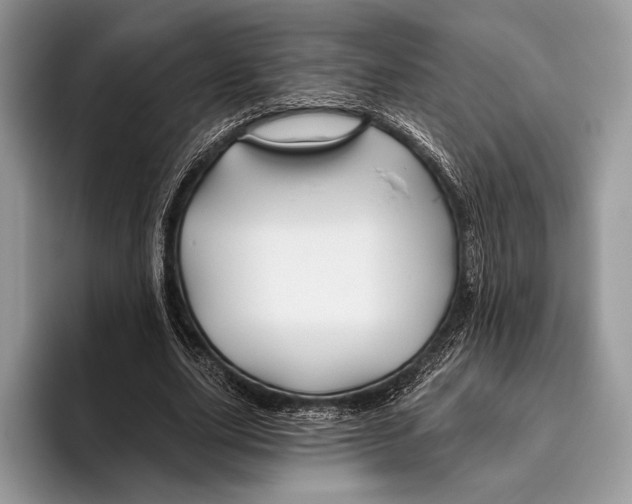 X0000095930631200802011022