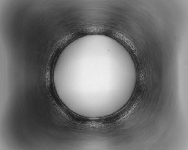 X0000095930633200802011022