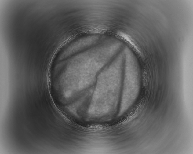 X0000095930634200802011022
